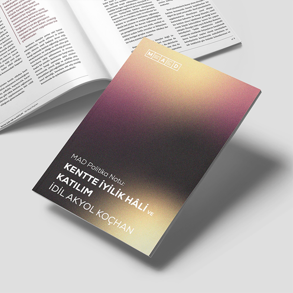 Policy Notes: Urban&nbsp;Well-Being