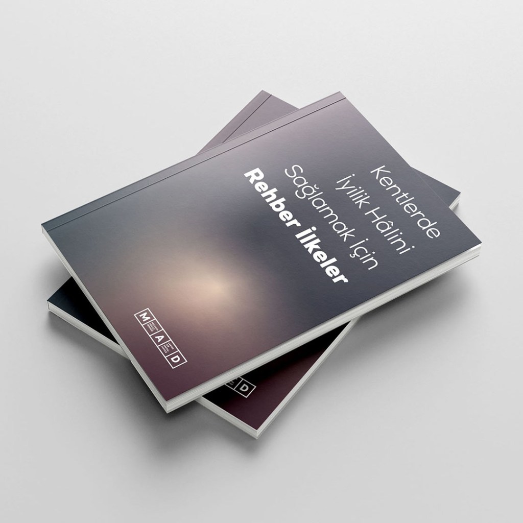 Report Book: Guiding Principles for Ensuring Well-being in&nbsp;Cities